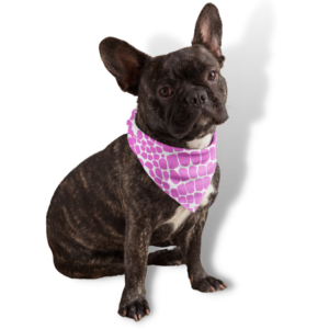 custom pet bandanas